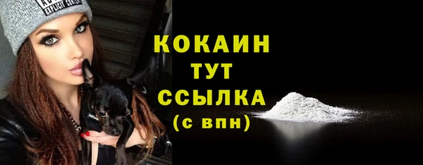 кокс Армянск