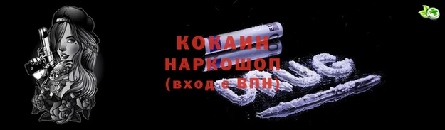 гашик Арсеньев