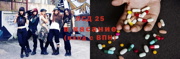 мяу мяу мука Аркадак