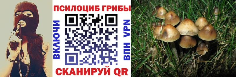 Купить где  Трёхгорный  Псилоцибиновые грибы ЛСД 